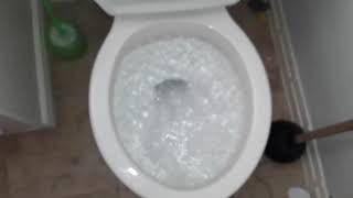 Vitromex toilet partially clogged [upl. by Alaaj]