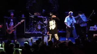 HED PE LIVE RENEGADE [upl. by Lenora]