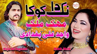 Wajid Ali Baghdadi Teriyan Kamaiyan Di Sano Lor Koi Nai  Eid Gift Song 2024  Baghdadi production S [upl. by Aia137]