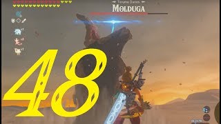 Wasteland Side Quests Part 1  Zelda Breath of the Wild 100 Walkthrough quot48127quot No Commentary [upl. by Ettereve]