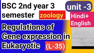 Bsc 2nd year 3semster zoology topic Regulations of gene expression in eukaryotic [upl. by Esilegna]