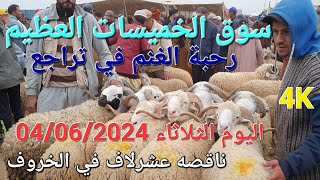 أثمنة الغنم والبقر والماعز والدجاج والخضر سوق الخميسات اليوم الثلاثاء 04062024 [upl. by Cornall121]