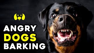 Angry Dogs Barking Sound Effect [upl. by Haret]