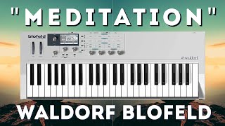 Waldorf Blofeld  quotMeditationquot Soundset 50 presets [upl. by Mellicent228]