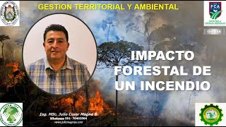 05A Impacto Forestal de un Incendio Forestal  Gestión Ambiental [upl. by Craw]