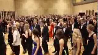 Les lanciers Kruses Gymnasium 2014 [upl. by Eceinal551]