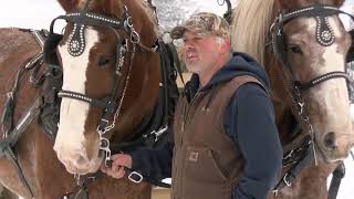 Horses pull semitruck up icy hill in Mabel Minnesota [upl. by Leizahaj]