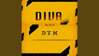 Diva Remix [upl. by End]