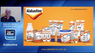 Capacitación sobre Alabastine [upl. by Slerahc]