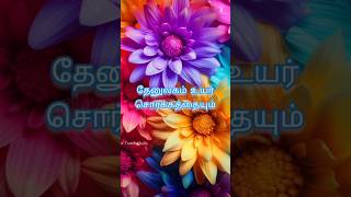 Engum Niraithonae Lyrics Songnagoorhanifasongsatmahadtamilmedia5209tamilislamicsongmusicstyle [upl. by Shawna]