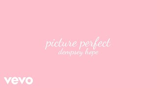 dempsey hope  picture perfect lyric video [upl. by Einnob]