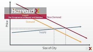 The Congruence of Supply and Demand [upl. by Estrin]