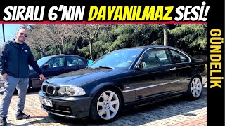 GÜNDELİK  BMW E46 330Ci  Tüketim Masraf Kronikler ve Her Şey [upl. by Engleman691]