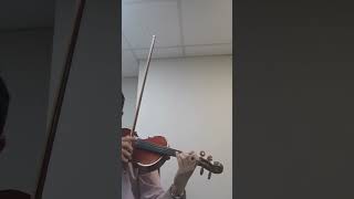 Violin for sales demo 005 [upl. by Nahtnahoj]