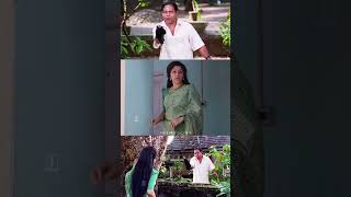 അമ്മാവനോ ആരുടെ അമ്മാവൻ തമ്പി അളിയോ  Manichithrathazhu Comedy Scene  Innocent Comedy [upl. by Tricia]