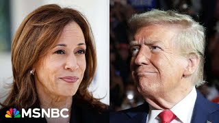 How the Trump and Harris teams are feeling on Election Day [upl. by Akkin306]