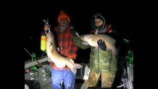 4624 Catfishing Sandusky Bay Live Fishing Tournament League UNO Tournament [upl. by Leiahtan]