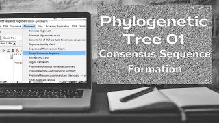 Phylogenetic tree formation  Consensus sequence formation  Bioinformatics  Class  01 [upl. by Hudgens]