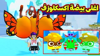 فتحت اغلى بيضة اكسكلوزف بت سيموليتر Pet Simulator 99 [upl. by Agnew832]