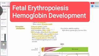 Fetal erythropoiesis amp Haemoglobin development haematology 1First Aid USMLE Step 1 in UrduHindi [upl. by Freedman]