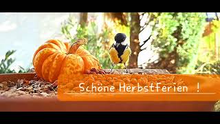 Schöne Herbstferien [upl. by Nuahsyt]