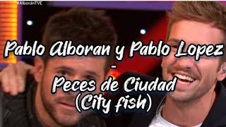 Pablo Alborán y Pablo López  Peces de ciudad Live English lyrics amp explanation [upl. by Aropizt]