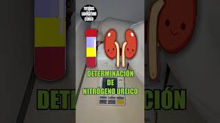 🫘Como Hacer la Determinación de UREANITRÓGENO UREICO en el Laboratorio ClínicoTutorial🔬 [upl. by Britteny]