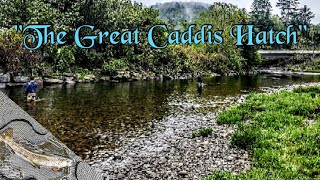 Catskills Fly Fishing quotThe Beaver Killquot  Part 2 [upl. by Ndnarb506]