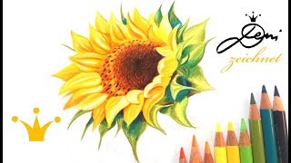 🌻 Sonnenblume zeichnen lernen 🌻 Blume malen 🌻 How to Draw a Sunflower 🌻 как се рисува слънчоглед [upl. by Carroll141]