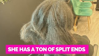 How to tame your frizz and control your split ends  She has so many split ends 🥶 [upl. by Attaynik303]