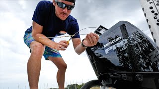 Checking Dipsticks amp Eating Catfish Eggs [upl. by Acinok]