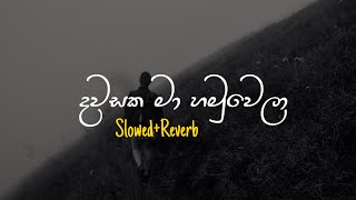 Dawasaka Ma  දවසක මා හමුවෙලා SlowedReverb [upl. by Enois]