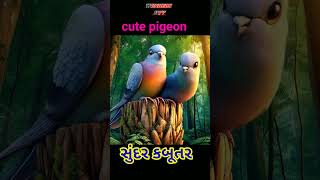 Worlds Most Unique Lovebird amp Pigeon Creations [upl. by Anauqat]