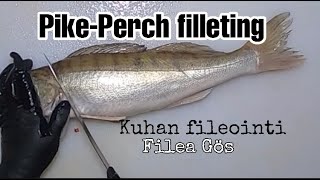 PIKE PERCH FILLETING  ZANDER FILLETING  HOW TO FILLET A FISH  KUHAN FILEOINTI  FILEA GÖS [upl. by Odlo]