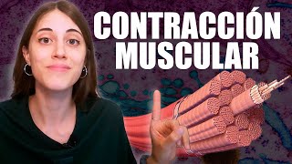 ¿Cómo funciona la CONTRACCIÓN MUSCULAR y qué significa LA HIPERACTINA [upl. by Heilman458]