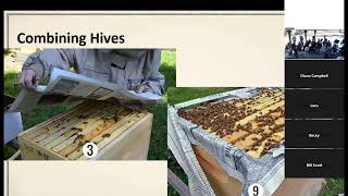 CCBA Oct 2024 Combining Hives from Monthly Meeting [upl. by Auqenehs]