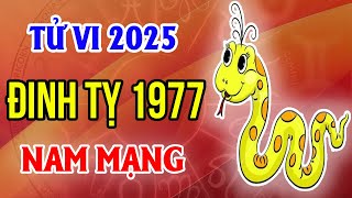 Xem Tử Vi Nam Mạng Tuổi Đinh Tỵ 1977 Năm 2025 Ất Tỵ [upl. by Thera]