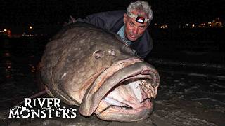 Jeremy Wade catches a HUGE 250lbs Queensland GROUPER by accident  River Monsters [upl. by Ayortal87]