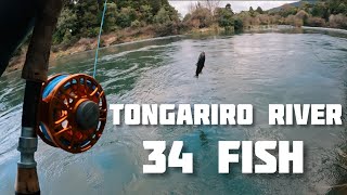 FLY FISHING the TONGARIRO RIVER 34 FISH [upl. by Akirdnahs268]