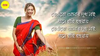 Poka dhanor maje maje Lyrics  DY Medley  old assamese song [upl. by Baptlsta546]