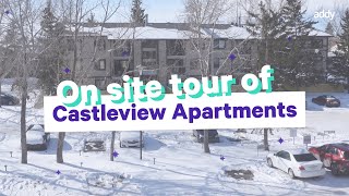 Castleview Apartments Got Some Upgrades  Real Estate Investing [upl. by Atnohsal]