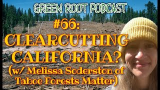 Clearcutting California w Melissa Soderston of Tahoe Forests Matter [upl. by Aynna72]