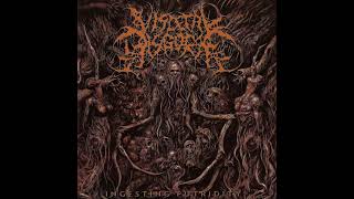 Visceral Disgorge Ingesting Putridity Full album [upl. by Suilienroc]