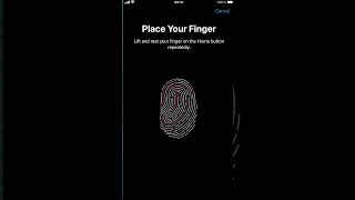 Unable to Complete Touch ID Setup [upl. by Genni95]