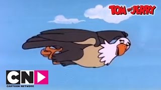 Egg and Tom amp Jerry  Tom amp Jerry  Cartoon Network [upl. by Lledrac]