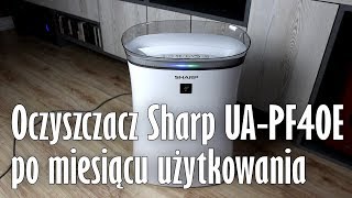 Oczyszczacz powietrza Sharp UAPF40EW po miesiącu użytkowania [upl. by Massarelli962]