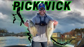 2024 BFL 2  CHOO CHOO DIVISION PICKWICK LAKE [upl. by Earas]