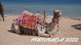 Hurghada 2022  Egypt [upl. by Laroc658]