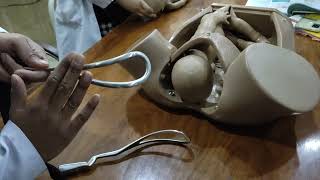 FORCEPS DELIVERY demonstration on DUMMY easy way to go 2 [upl. by Abihsat]