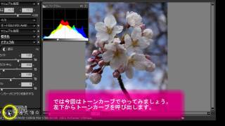 Developing a RAW file with SILKYPIX Pro 40 [upl. by Baily]